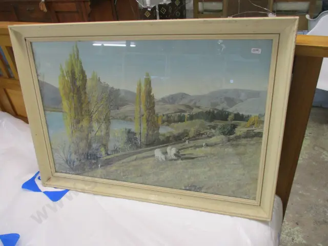 Whites Aviation Photo Image 1++